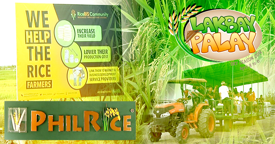 Future Farm Machineries, tampok sa PhilRice Lakbay Palay 2018