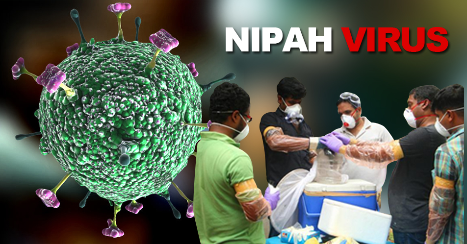 Nipa Virus sa India, pumatay ng 10 katao