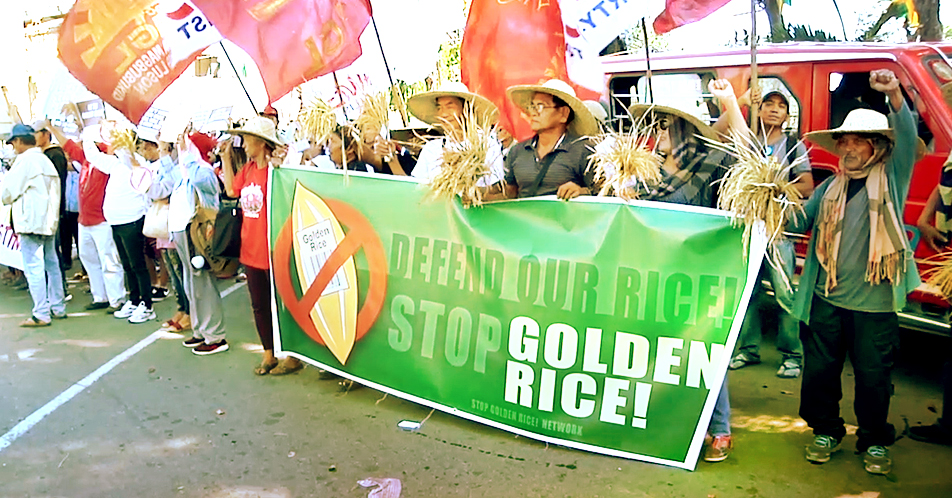 Mga progresibong  grupo ng magsasaka, nag-rally kontra golden rice