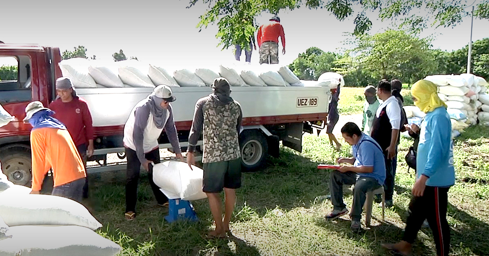 Mga magsasaka , masaya sa patuloy na pagbili ng Provincial Food Council ng kanilang ani sa mas mataas na presyo