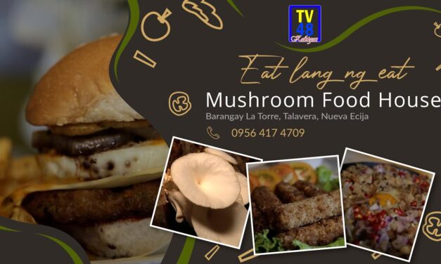 Healthy Mushroom Burger