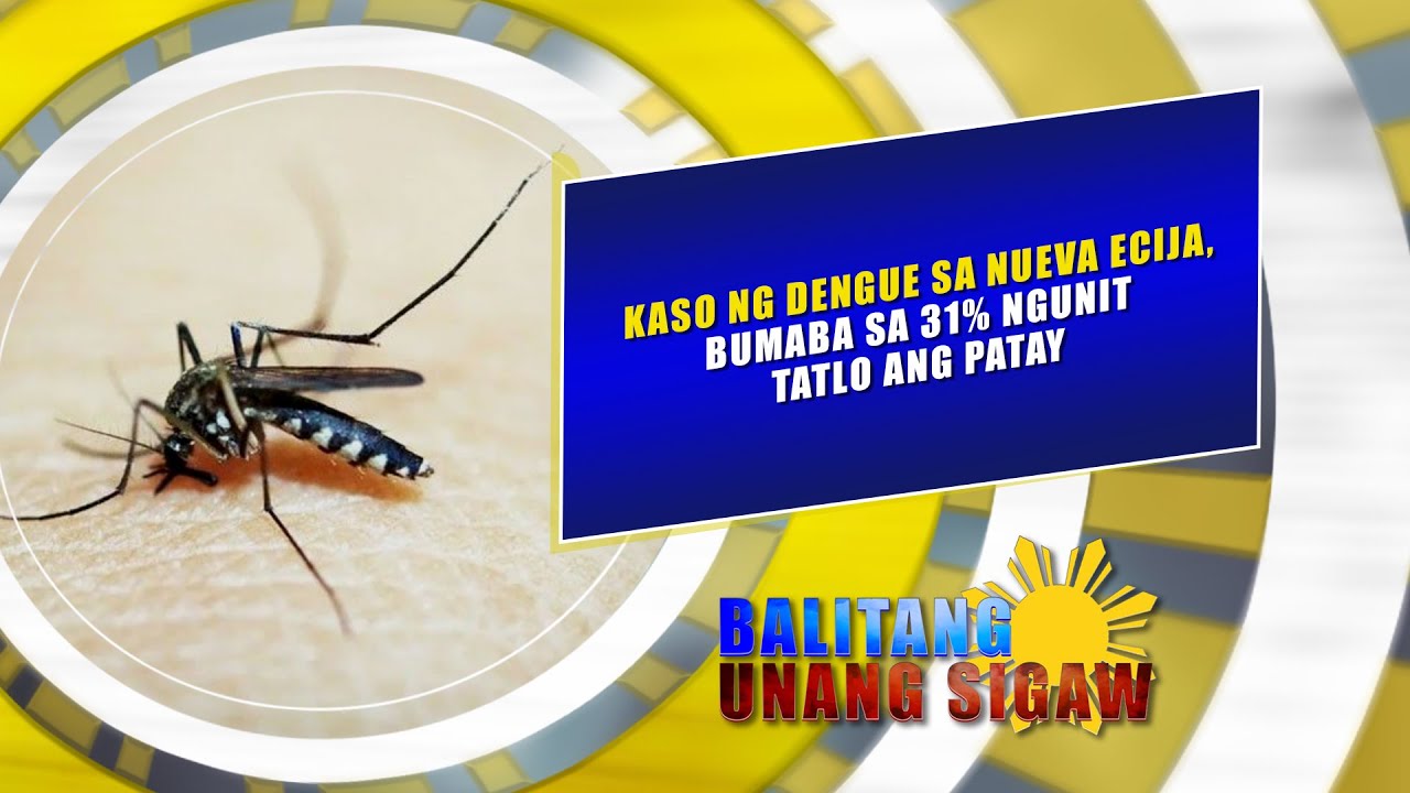 KASO NG DENGUE SA NUEVA ECIJA, BUMABA SA 31% NGUNIT TATLO ANG PATAY