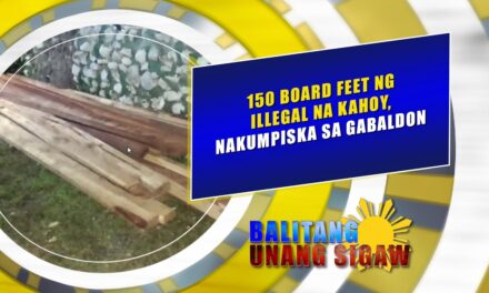 150 board feet ng illegal na kahoy, nakumpiska sa Gabaldon