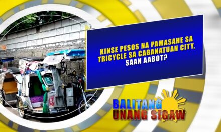 Kinse pesos na pamasahe sa tricycle sa Cabanatuan City, saan aabot?