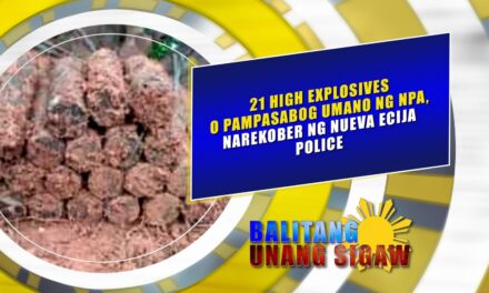 21 High Explosives o pampasabog umano ng NPA, narekober ng Nueva Ecija Police